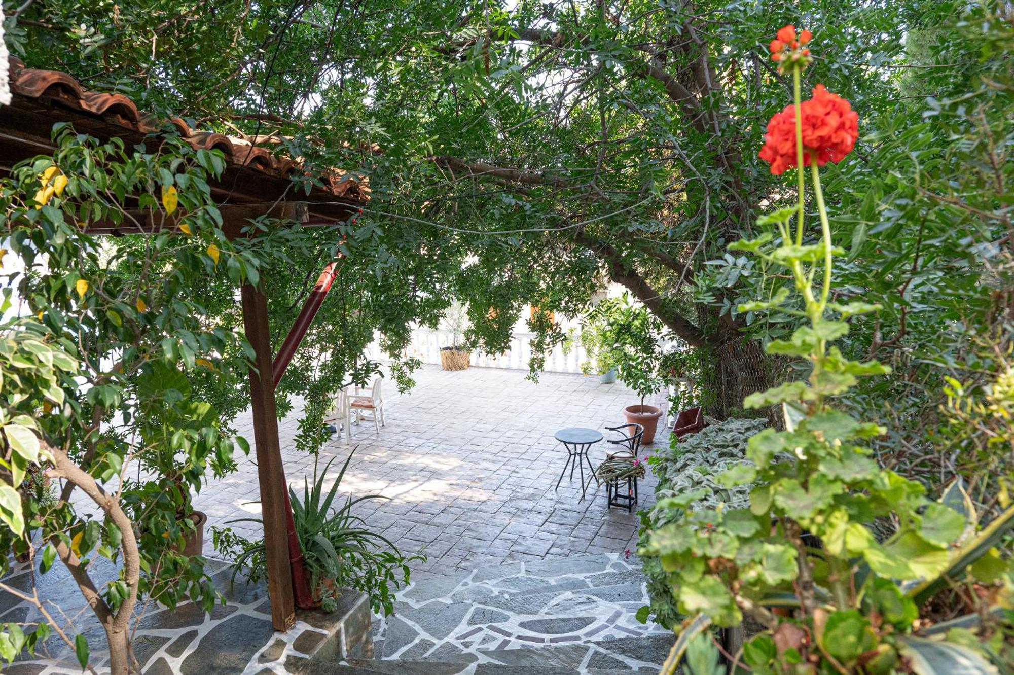 Lions 2 Studios&Apartments, Poros Island. Poros Town Exterior foto