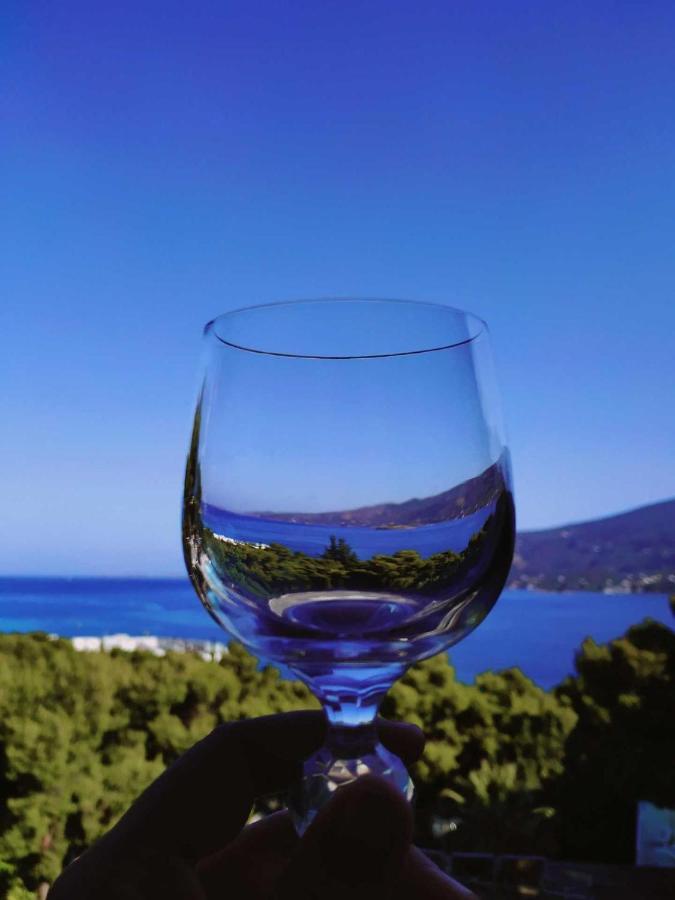 Lions 2 Studios&Apartments, Poros Island. Poros Town Exterior foto